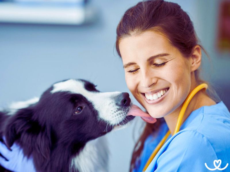 Jak-si-vybrat-veterinare (1)